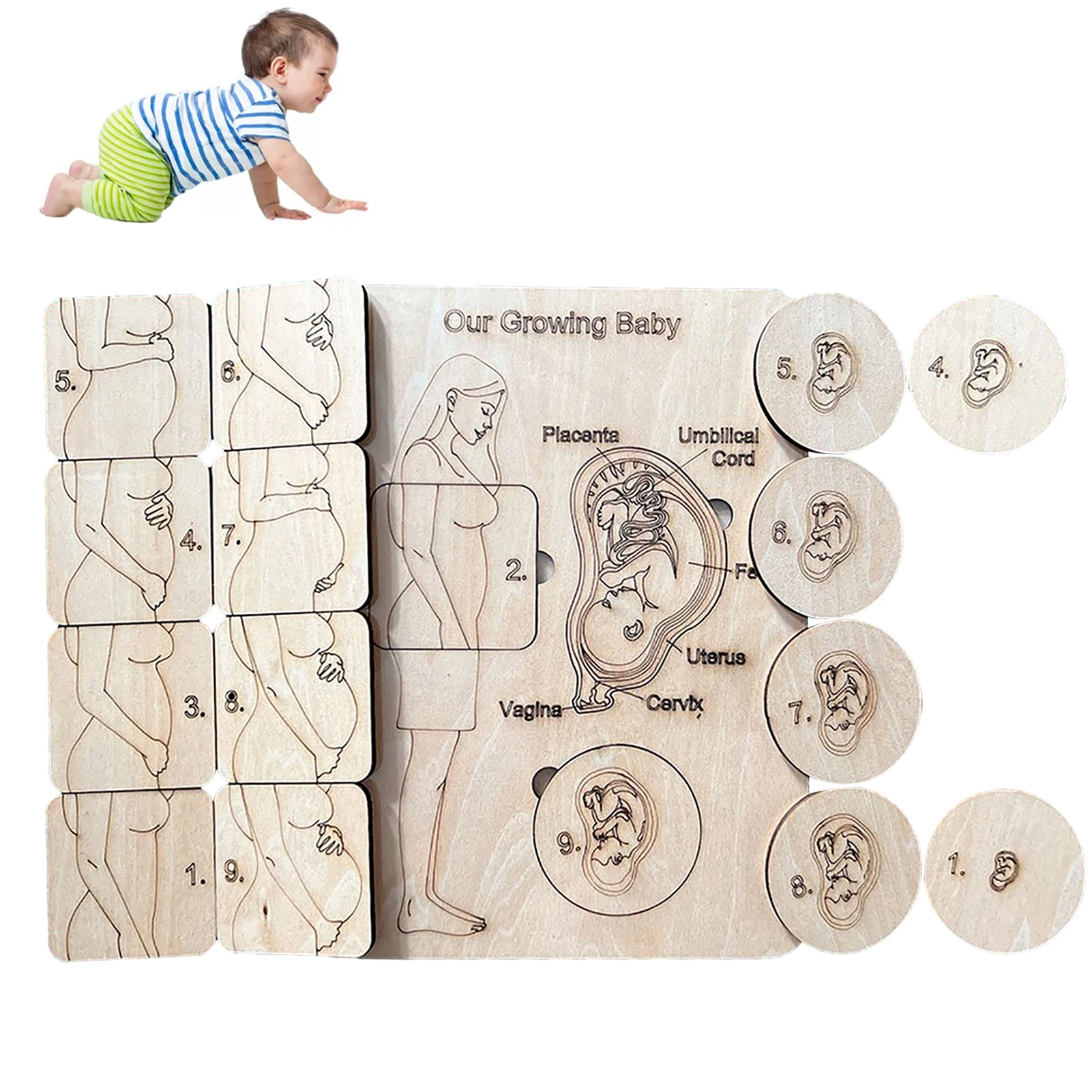 

Деревянная головоломка для беременных, пазлы для раннего развития, деревянные Обучающие головоломки Монтессори, Дошкольная головоломка, и...