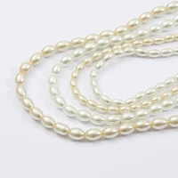 beige white oval bracelet charm simulated pearl beads for jewelry making loose spacer diy handmade necklace earring accessories