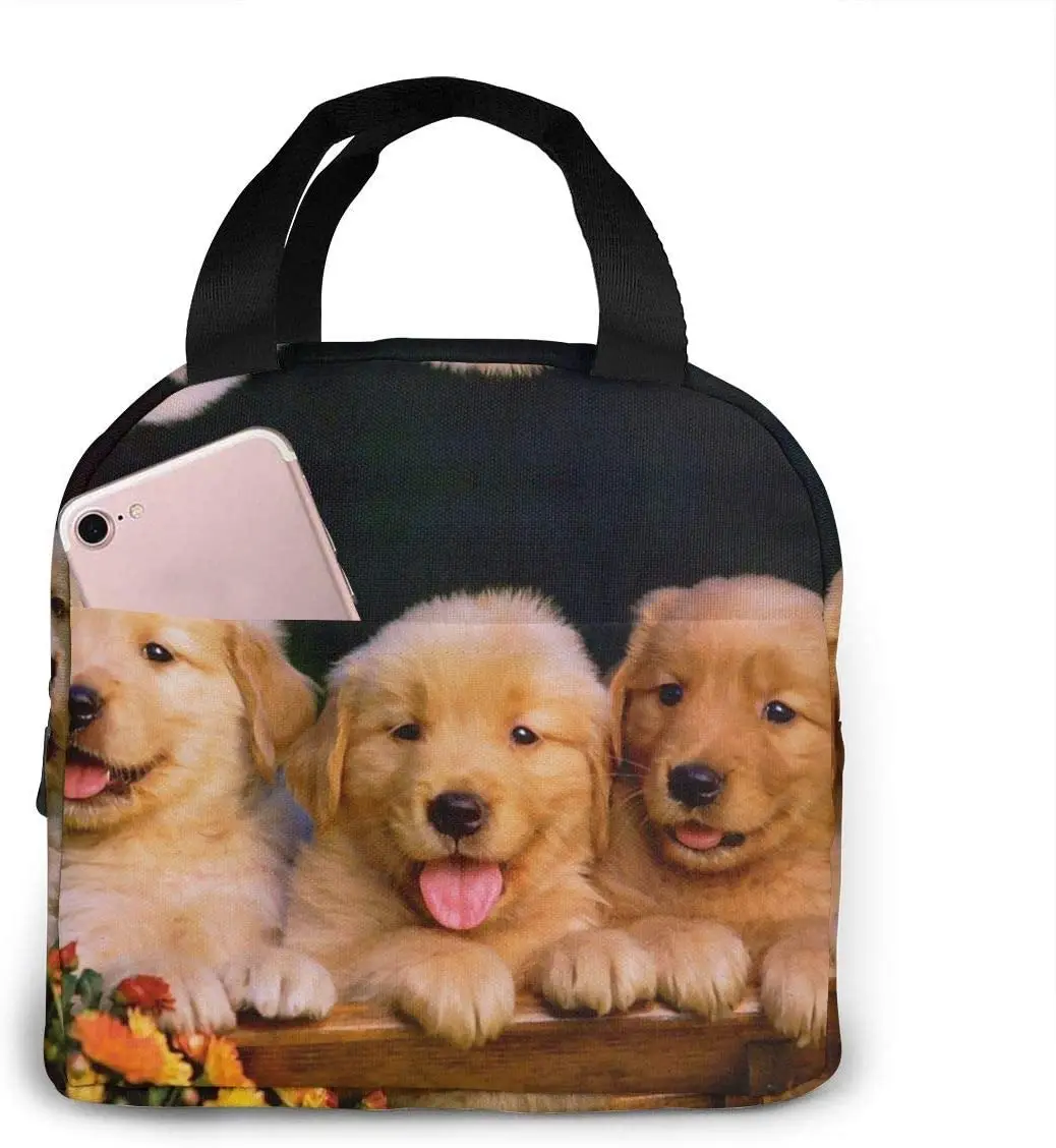 Милый Ланч-бокс с изображением золотистого ретривера для женщин, изолированный Ланч-бокс, Портативный Ланч-бокс, многоразовый водонепрониц...