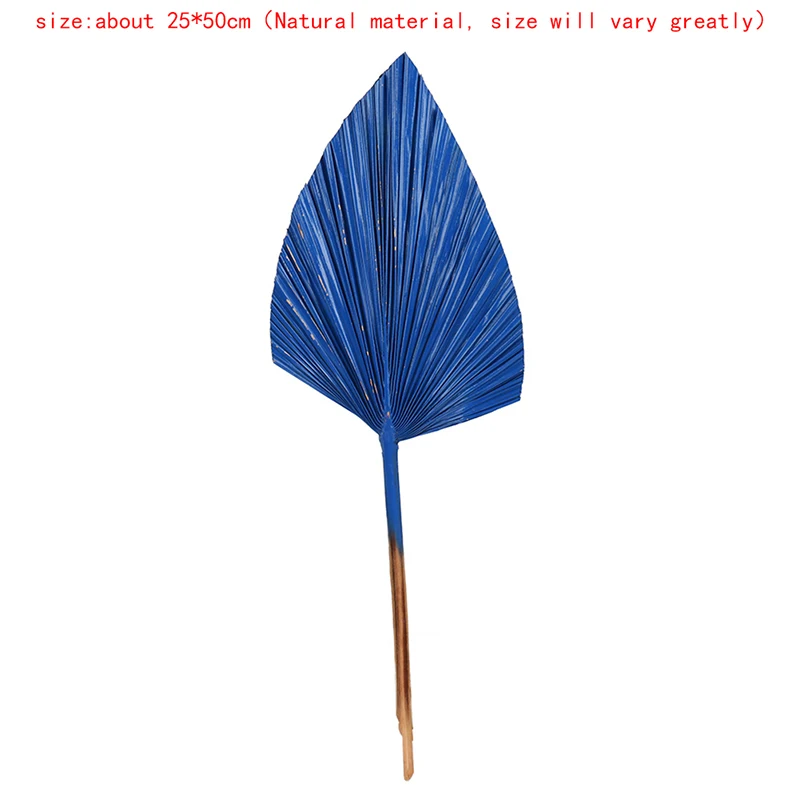 Веер в нордическом стиле натуральный кошачий хвост сушеный цветок пальма