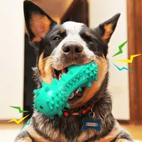 Dog molar chew toy pet dog bone shape bite resistance interactive training toy large dog with teeth cleaning molar thorn