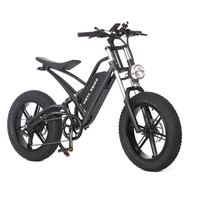 20in fat traveling electric assist bicycle 48v750w motor 624wh lithium battery double shock beach snow fat electric bicycle