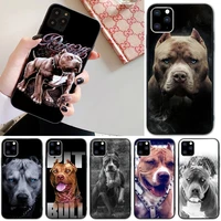 pit bull phone case for iphone 11 12 13 pro max 5s 6s 7 8 plus x xr xs max se 2020 13 mini case cover