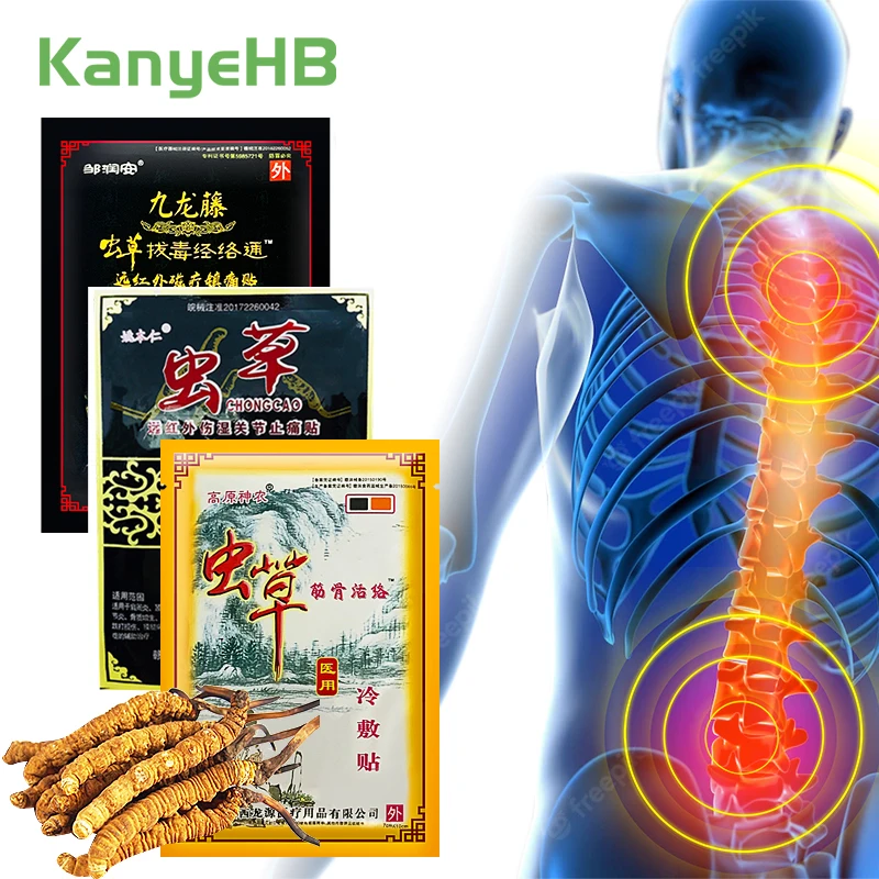

3type 1bag Neck Pain Relief Patch Cordyceps Chinese Sinensis Extract Chinese Medical Plaster Joint Inflammation Relieving Patch