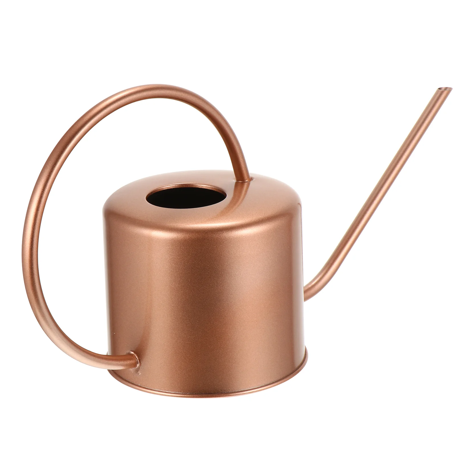 

Watering Can Nordic Style Vintage Stainless Steel Watering Can Watering Pot Long Spout Water Can for Bonsai Garden Flower 1. 3L