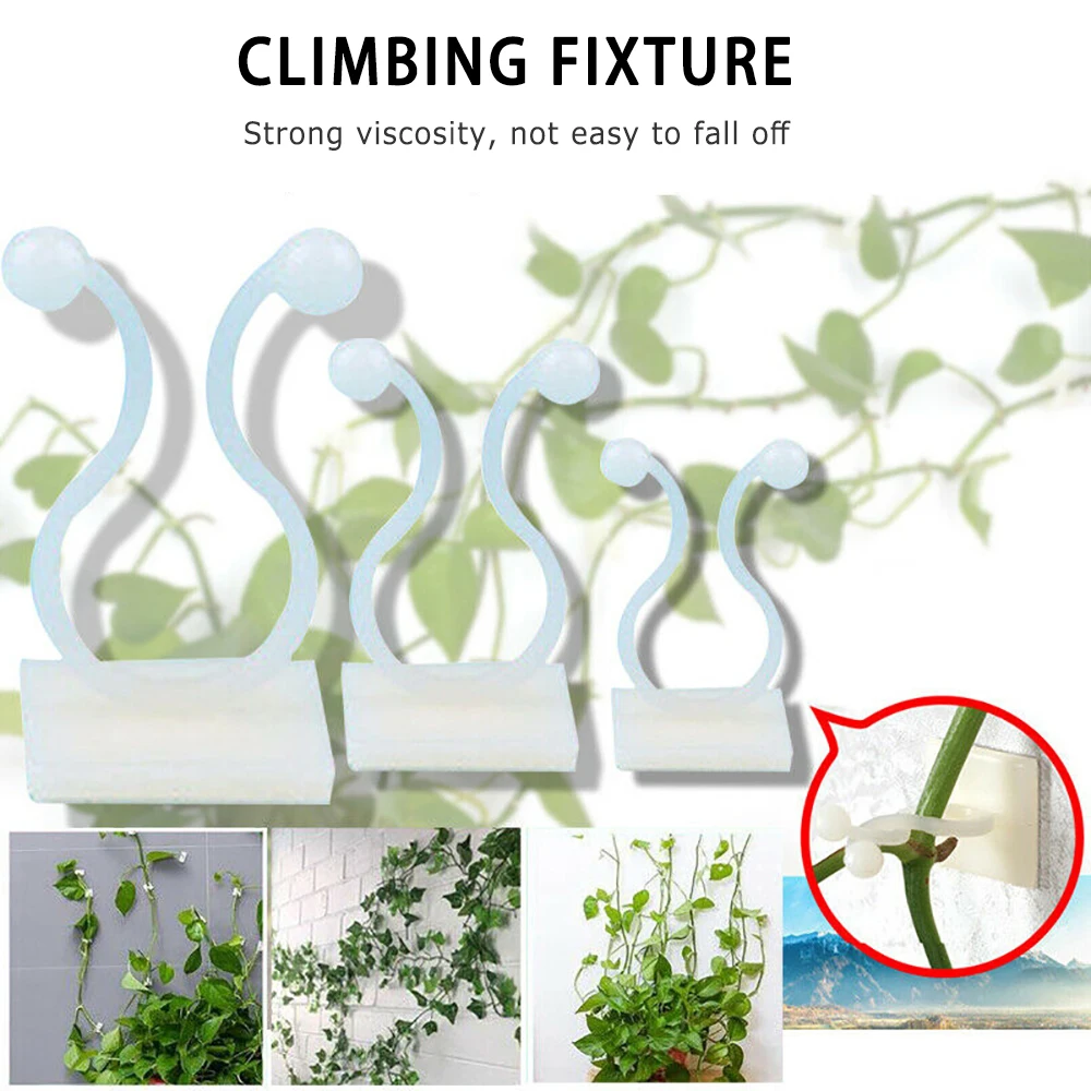 

Self-Adhesive Plant Climbing Wall Fixed Buckle Hook Invisible Rattan Clamp Clip Vine Sticky Tied Fixture Bracket Garden Gadget