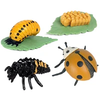 life cycle of a ladybug educational hand painted figurines insect kit insect cycle preschool model