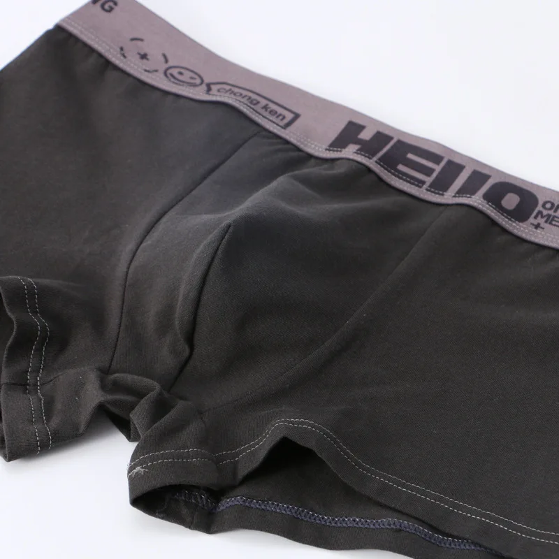 Boxer Underwear Men Antibacterial Boxers Cotton Mens BoxerShorts Men's Panties Breathable Sexy Printed Underpants Boxer
