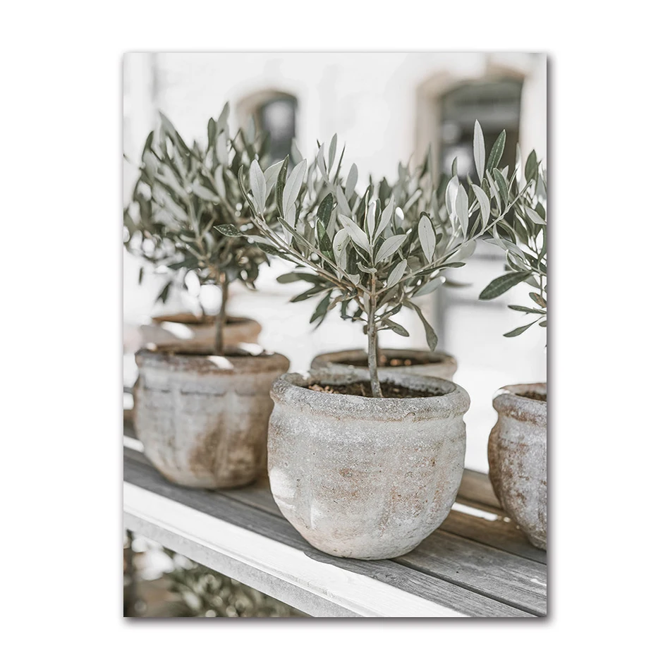 

Холст с изображением ветвей оливы AliPaint