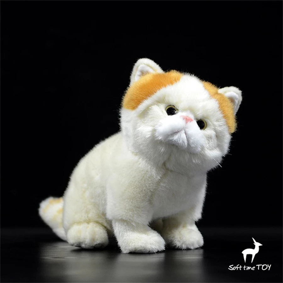 

Short-haired Cat High Fidelity Anime Cute Plushie Persian Cat Plush Toys Lifelike Animals Simulation Stuffed Doll Kawai Toy Gift