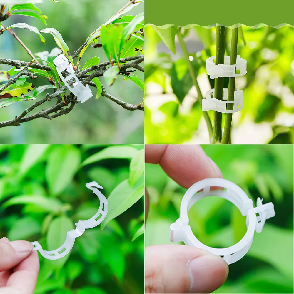 

Holder for Phone in Car Clips Support Garden Plant Tomato Flower Vegetable Patio Lawn & Garden Hair Clips for Women Thin Hair