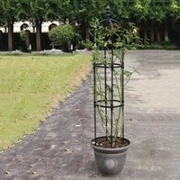 obelisk plant climbing plant vine rack plant potted support frame coated steel flower vegetables decorative trellis bracket