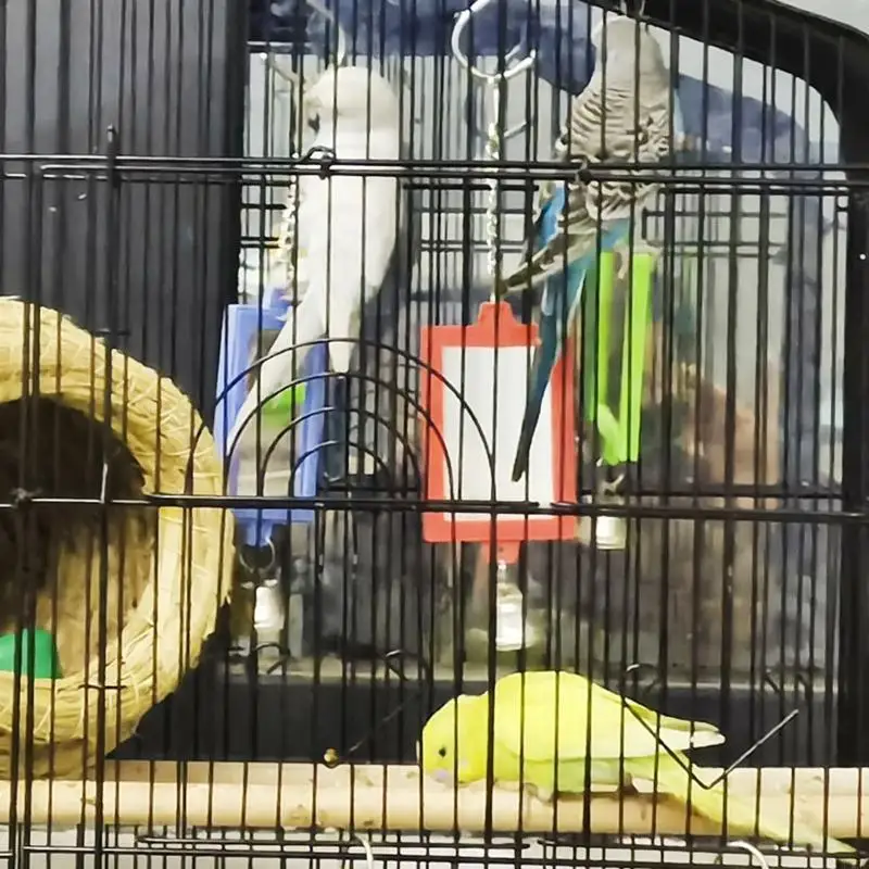 U75C Pet Bird Mircor с Interactive Parrot для попугаев Budgies Conures