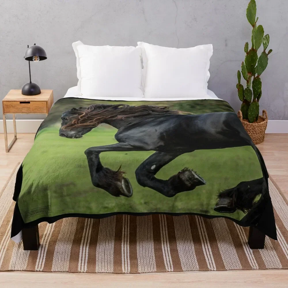Фринезийский опыт - красивое черное одеяло с фризийскими лошадьми тонкие