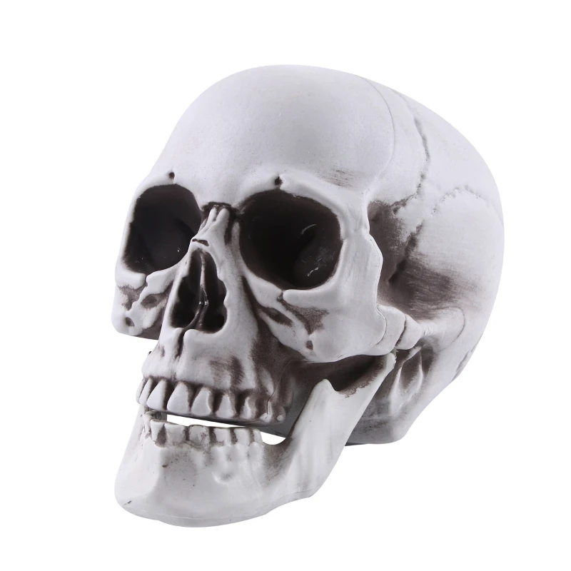 

Скелет, череп, домашние предметы интерьера, пластиковый череп, ремесла, Хэллоуин, цельная металлическая форма, скелет