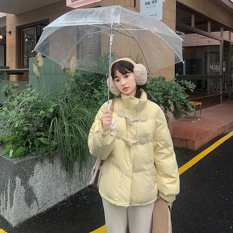 Рисунок 6 - Маленькое душистое пальто