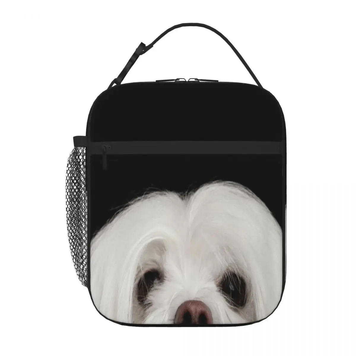 

Белая Мальтийская собака с изображением камеры, изолированная на черном фоне Сергей таран, ланч-тоут, Ланчбокс, термо-еда