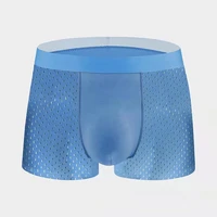 mesh underwear men ice silk breathable mesh boxer briefs soft thin transparent trunks sweat absorbing fitness sport underpants
