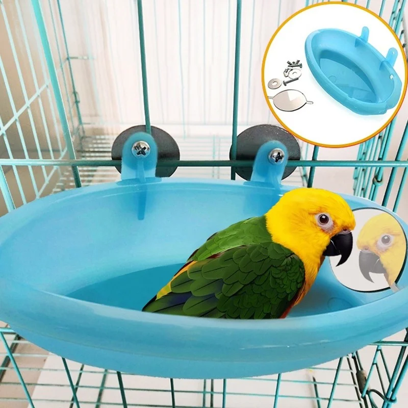 Birds Accessories