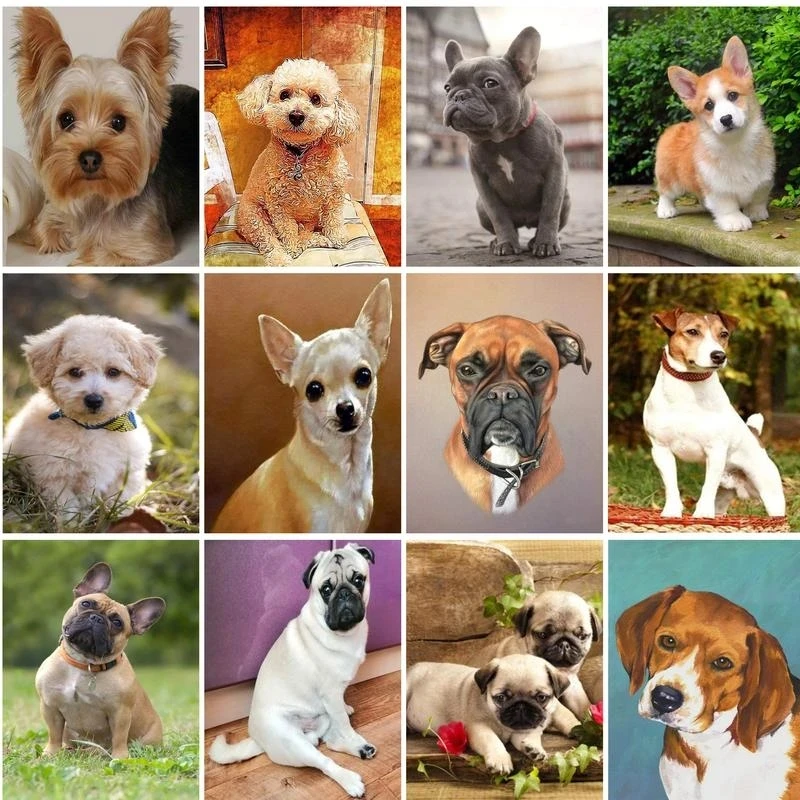 

GATYZTORY 5D DIY алмазная живопись собака животные вышивка распродажа Алмазная мозаика полный комплект для вышивки крестиком домашний Декор подарок