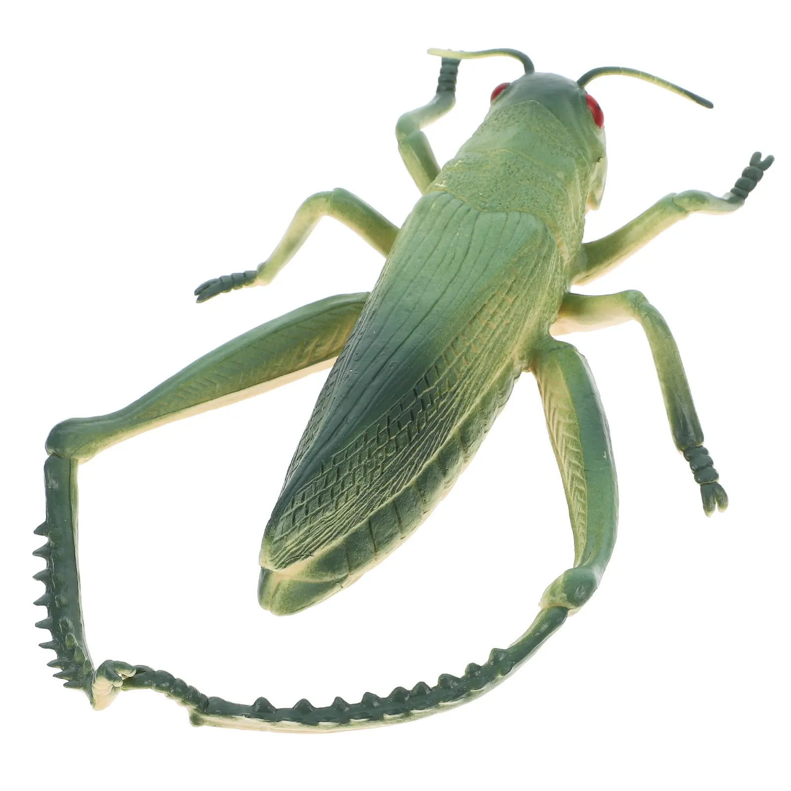 Фото Реалистичная фигурка жука-скарабея Green Grasshopper: развивающий набор для игр на улице, украшение для вечеринок, пластиковая имитация насекомого №3