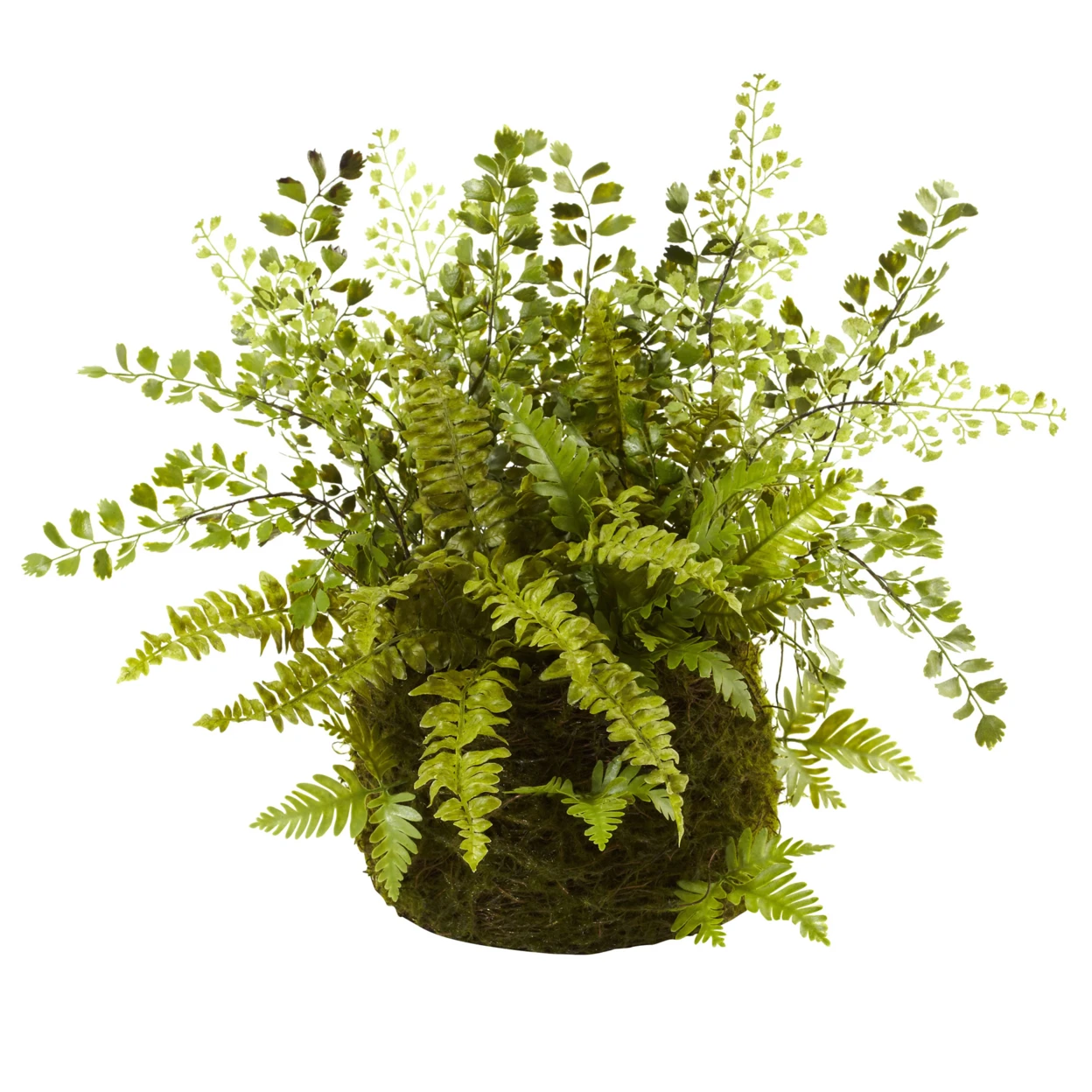 

Mixed Fern with Twig and Moss Basket