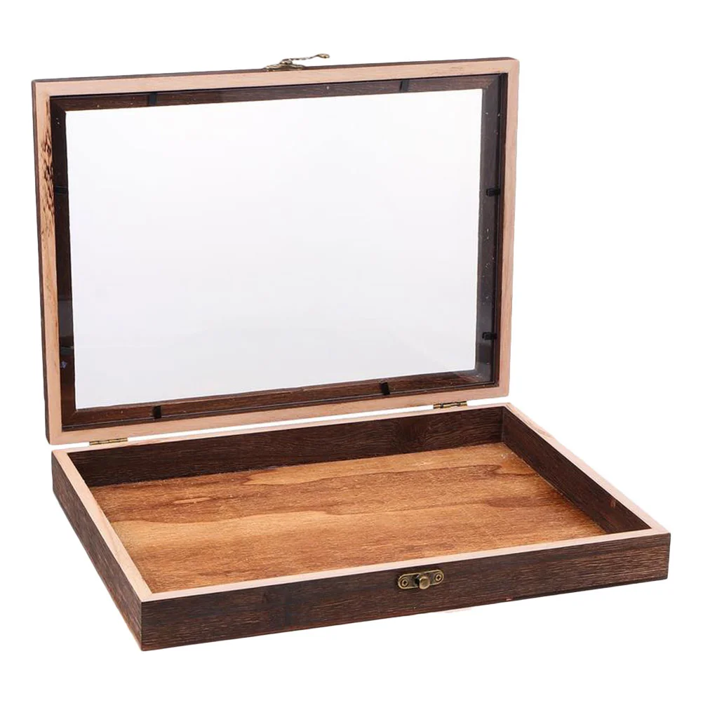 

Box Display Jewelry Case Wooden Specimen Glassinsecttray Organizer Storage Brown Metal Accessories Claspbugtransparent