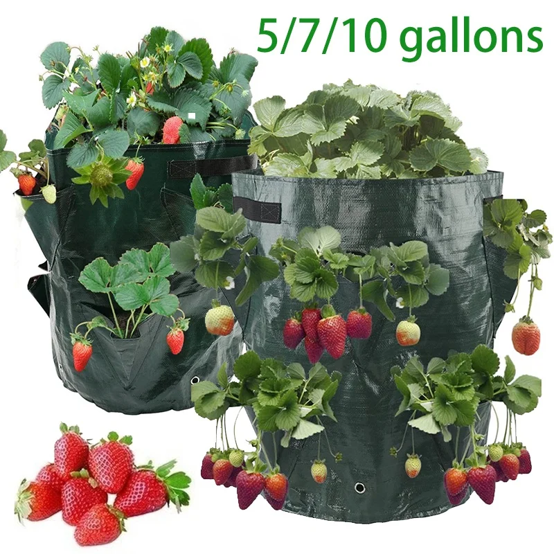 

Strawberry Grow Bags 5/7/10 Gallon Strawberry Planter with 3/6/8 Side Grow Pockets Reusable Garden Flowers Herbs Plant Grow Bag