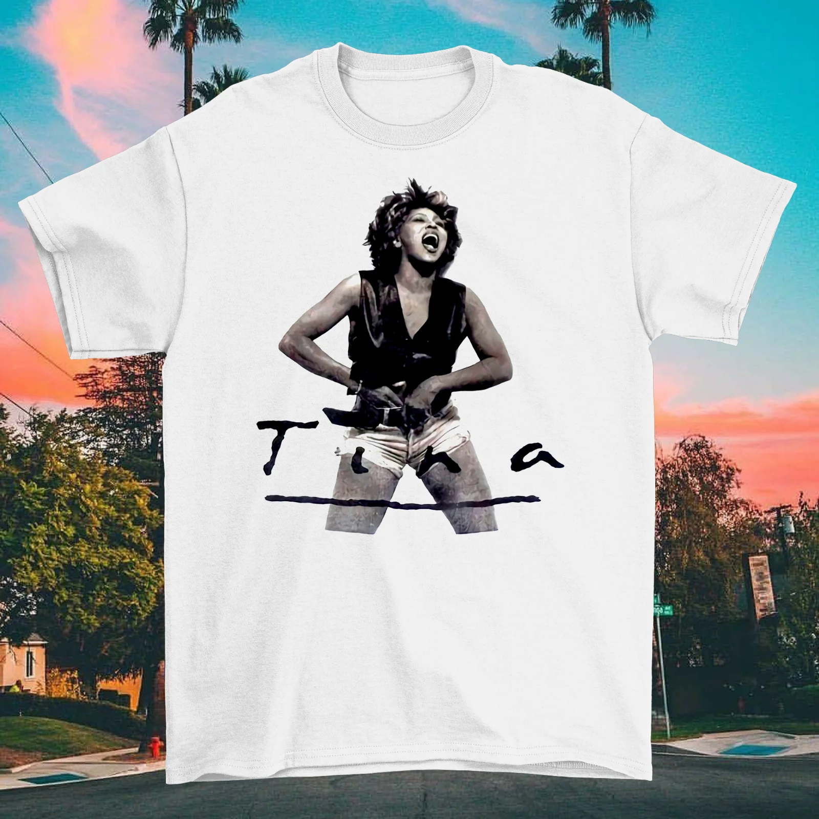 

Tina Turner What's Love Tour Cotton T-Shirt Tee Shirts