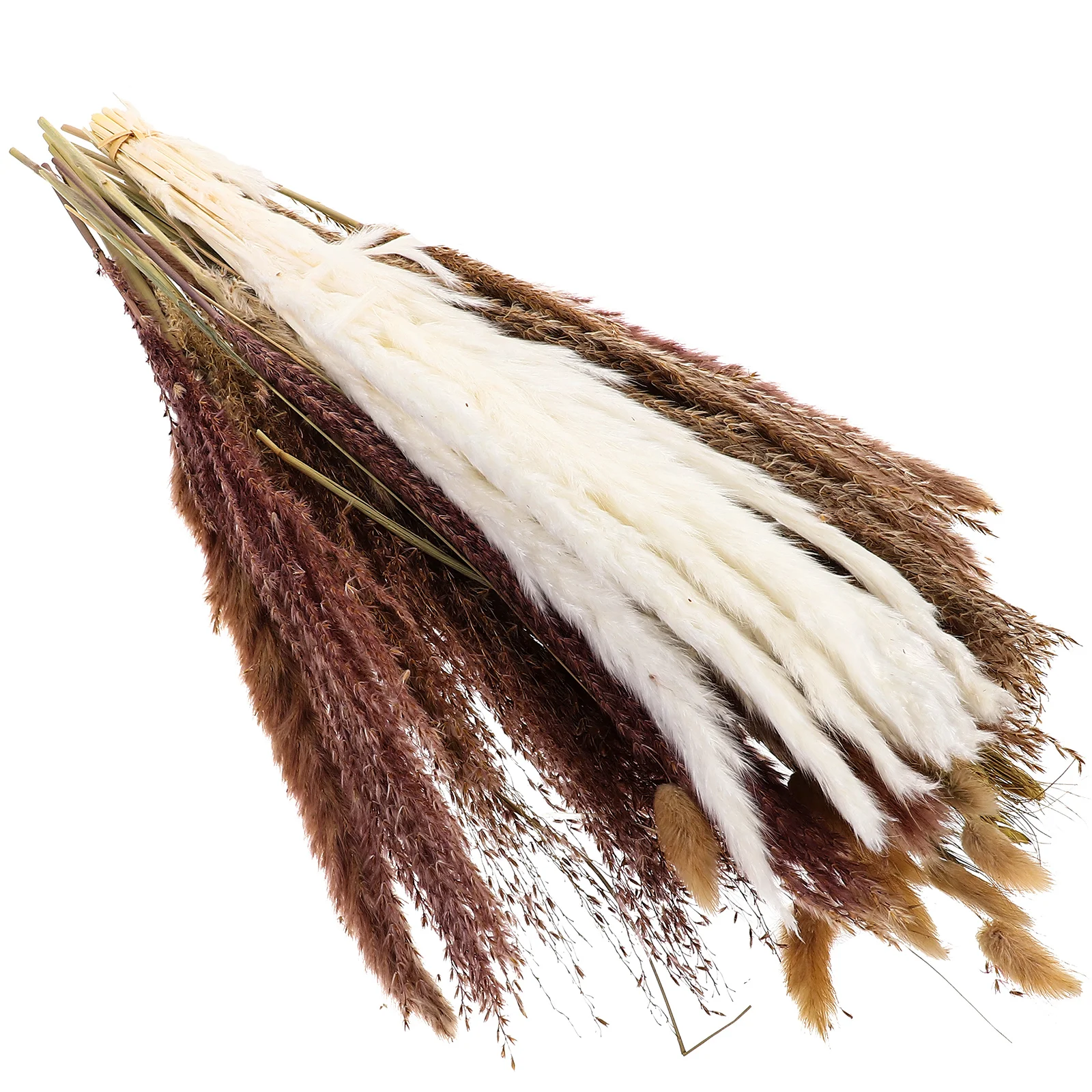 

1 Set Dried Flower Bouquet Dry Grass Pampas Grass Dried Floral Arrangement Spring Dried Flower