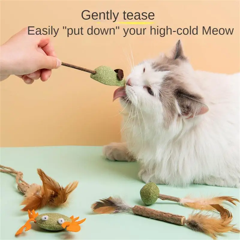 

Edible Pet Catnip Toys Safety Healthy Cat Mint Snack Cats Home Chasing Game Toy Promote Digestion pet Products Cat Supplies