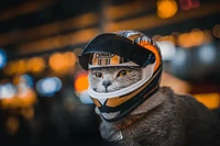 pet motorcycle helmetfull face motorcycle helmet outdoor motorcycle bike riding helmet hat for cat puppy helmet pet supplies