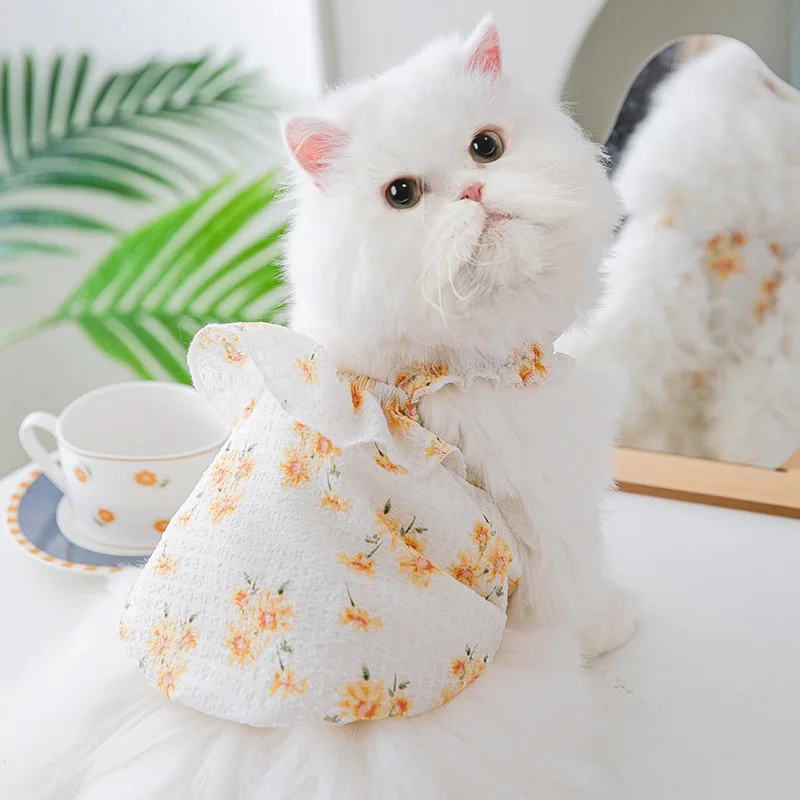 

Spring Lace Suspenders Anti-hair Loss for Pets Clothing Thin Hairless Cat Ragdoll T-shirt Small Dog Clothes Clothes for Cats