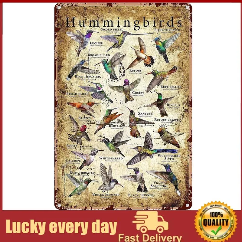 

Types Of Hummingbird Metal Signs Retro Room Decor Bird Lovers Posters Club Farm Home Wall Decor Printed Plaque wall decor