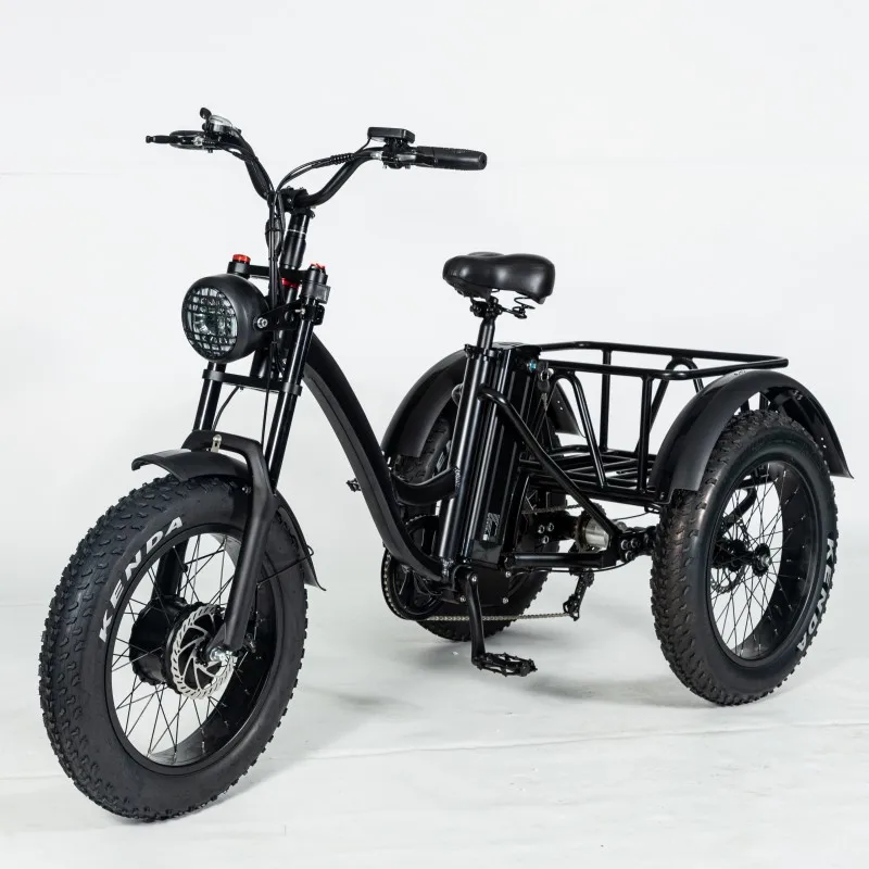

LEO electric trike fat tire 3 wheel Electric Tricycle three wheels adult cargo electric bike