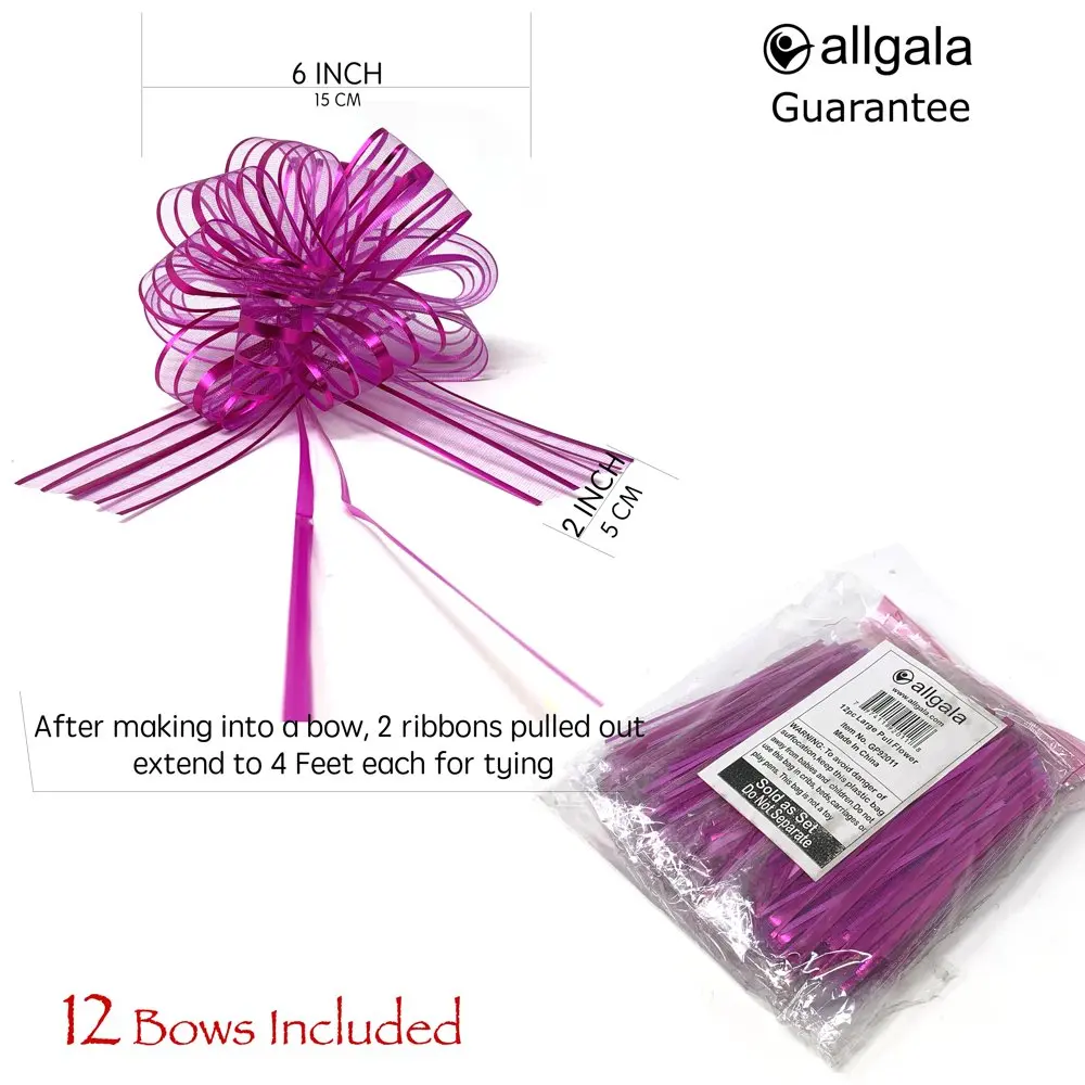 12-pc 6 Inch Large Everyday Pull Bows-Fuchsia-GP92011