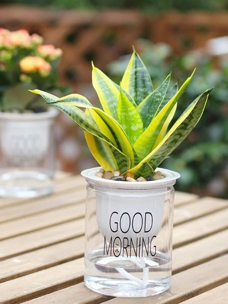 

Self Watering Planter Pots Mini Round Design Succulent Plant Pot Indoor Home Garden Modern Decorative Pot Garden Supplies