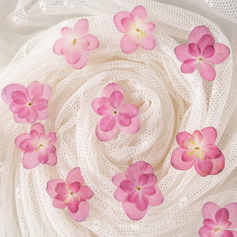 1 5-2 5 см/12 шт. натуральные розовые гортензии с двойными лепестками прессованные