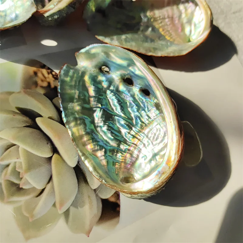

Натуральные драгоценные камни Aura Abalone из ракушек кварца, лечебные драгоценные камни для украшения дома рейки