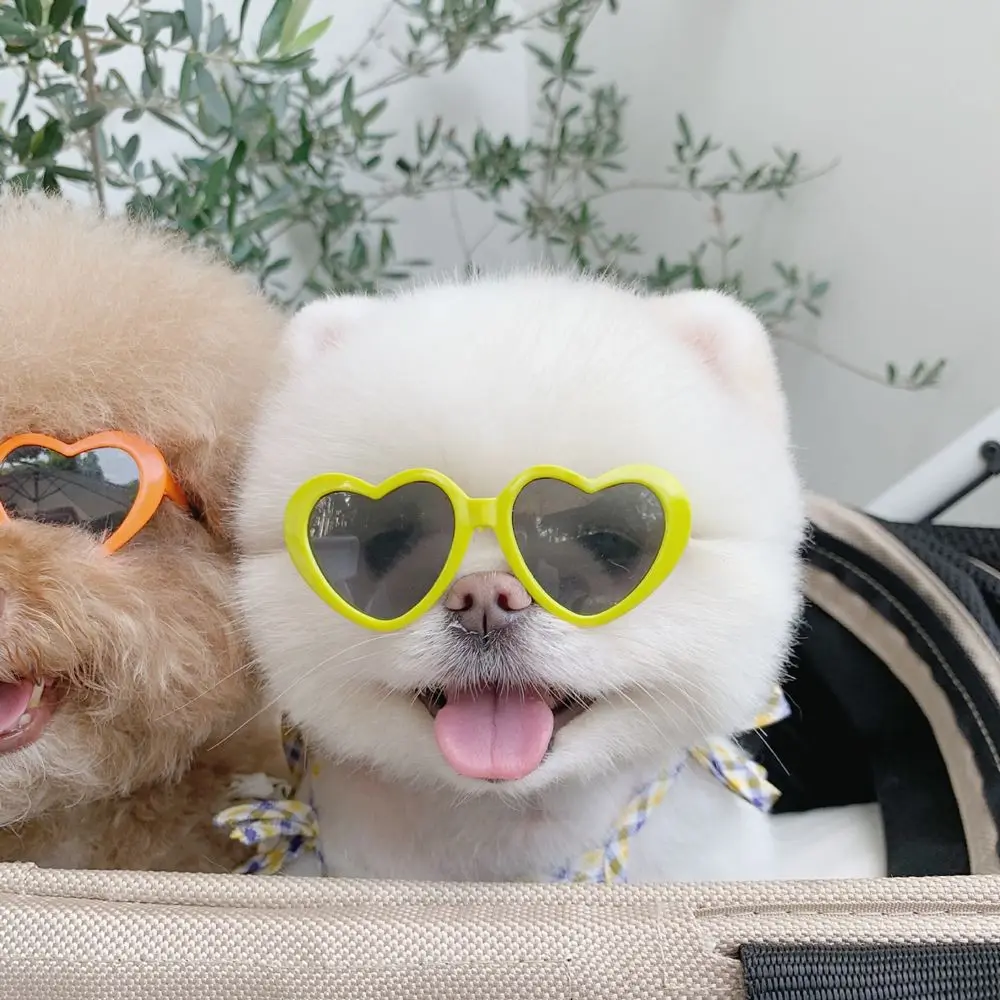 

Модные очки для щенков, фотографий, реквизит для маленьких кошек, очки для домашних животных, кошачий глаз, солнцезащитные очки для домашних животных, декоративные очки для кошек