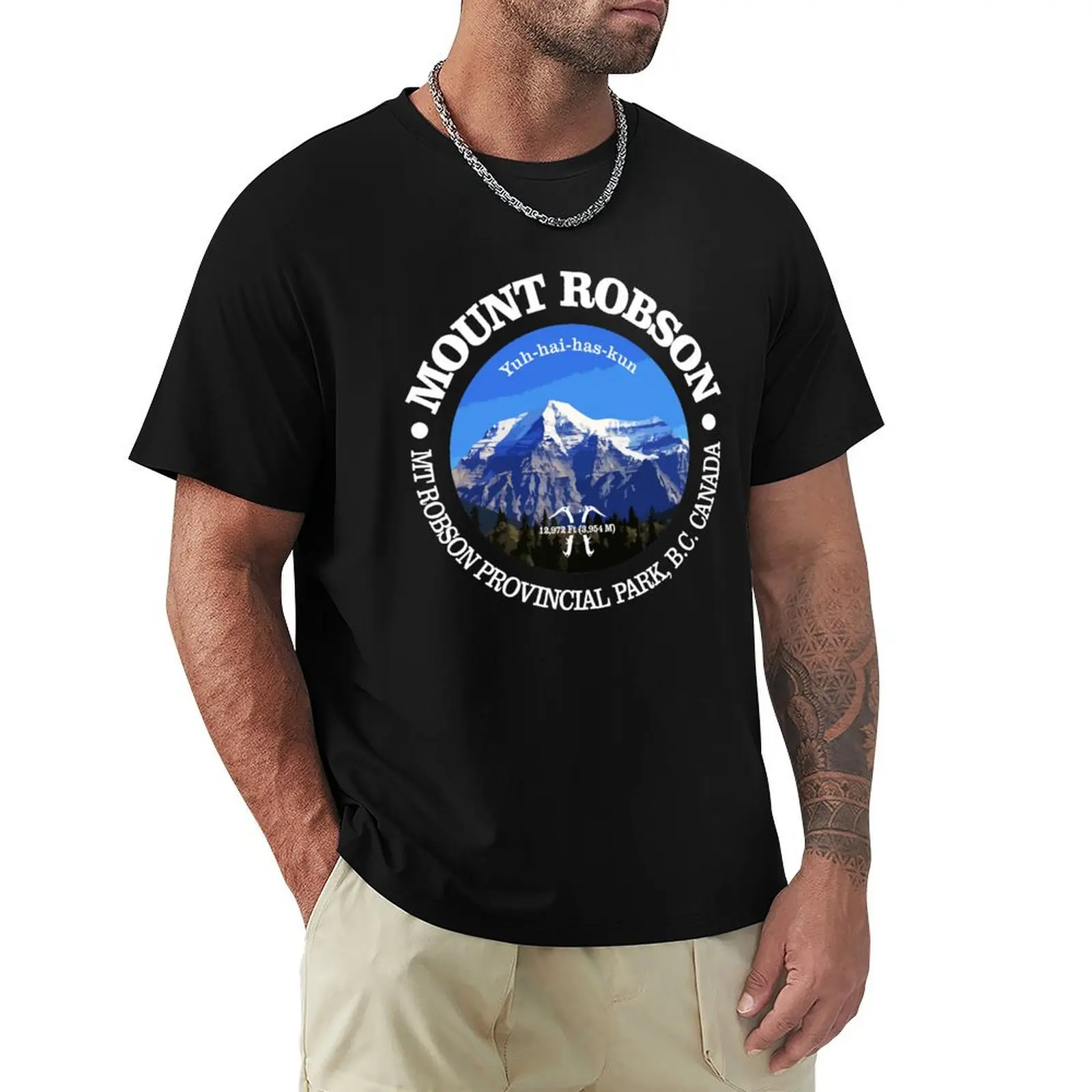 Фото Футболка Mount Robson (P) с легким принтом №1