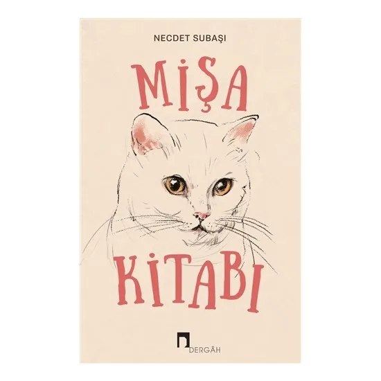 

Midweek Book Necdet Bywater Turkish Books trial review philosophical reflections events