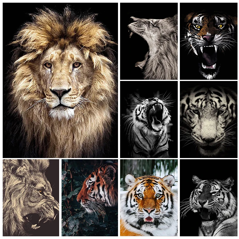 

Животные картины 5D алмазная живопись наборы Лев фотообои полная квадратная/круглая Алмазная вышивка DIY домашний декор