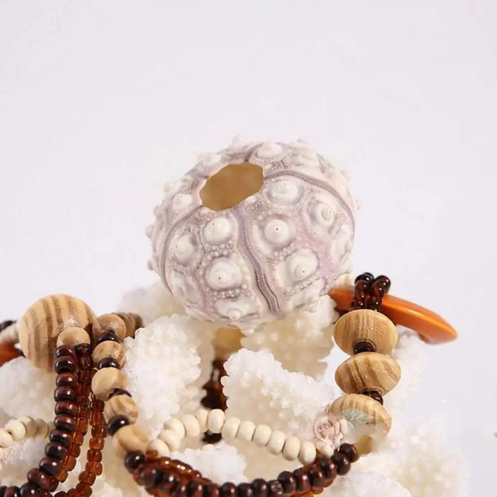 

Природный Hlbk морской урчин, улитка, домашний декор для аквариума, горшок для рыб, микро цветок, Искусственный ландшафт, Tabl T5x1