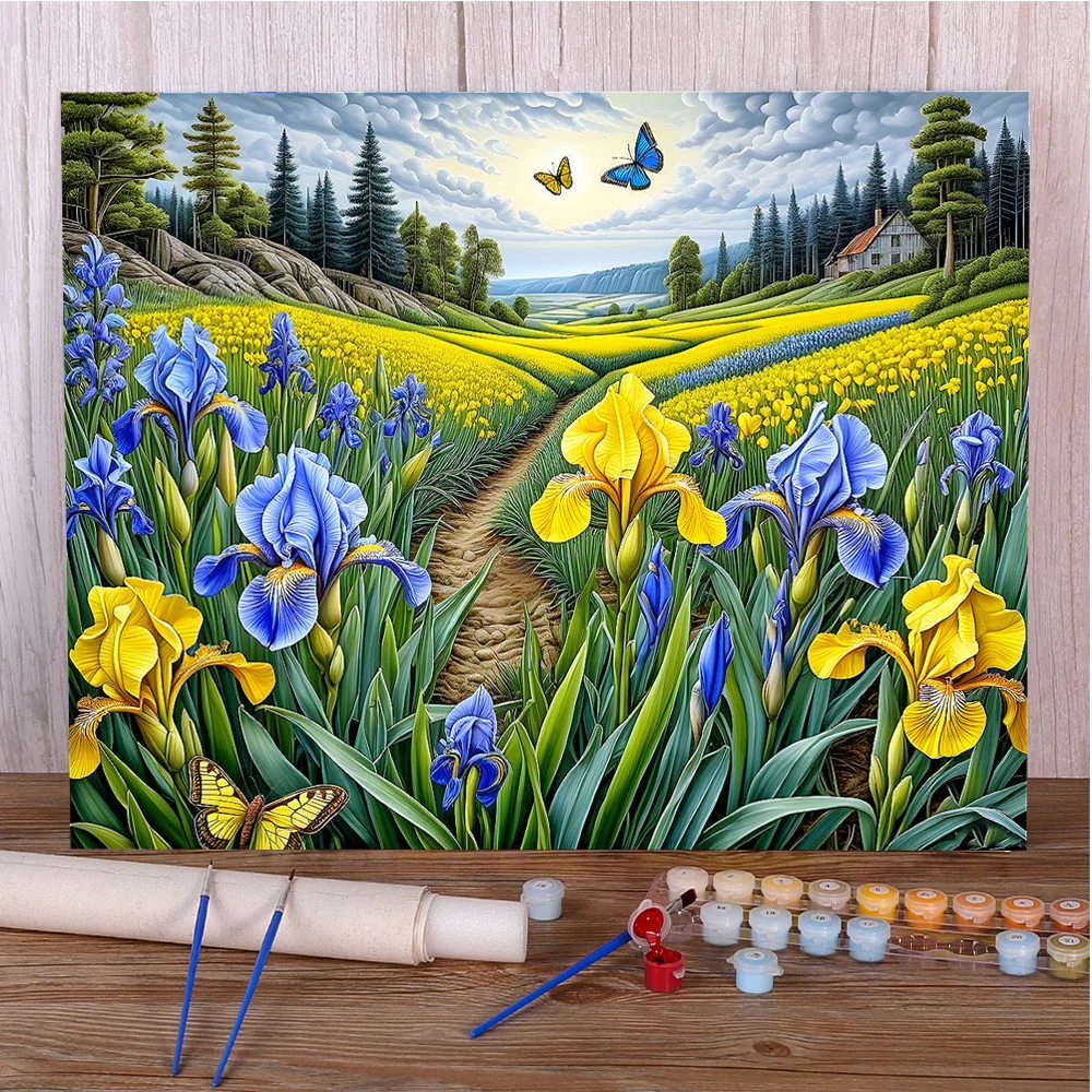 Цветы Ирис Пейзаж DIY Краски по номерам Набор масляных красок 50*70 Картина маслом