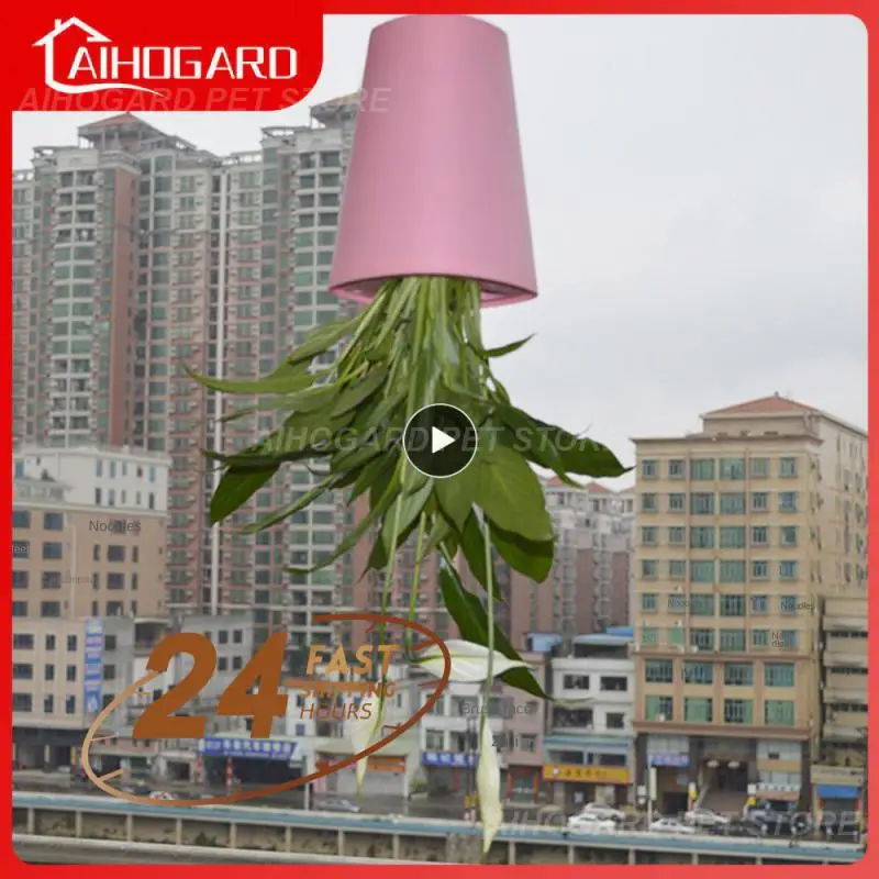 

Flowerpot Ornament Purify Air Hanging Flowerpot Creative Idea Not Easy To Deform Plastic Small Flowerpot Home Decoration Hang