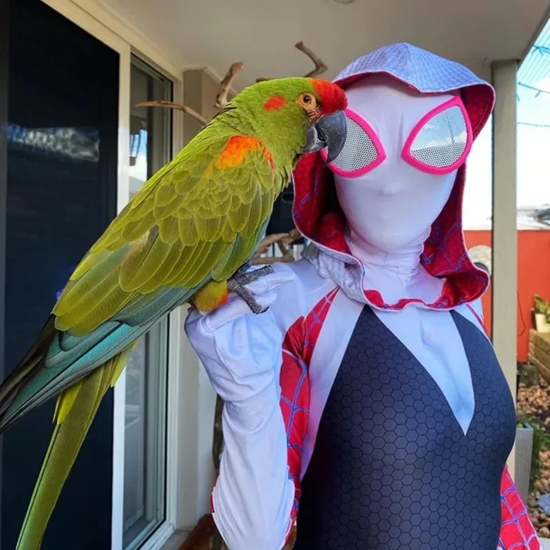 Caffele новый Гвен Стейси паук костюмы для косплея женщин детские комбинезоны