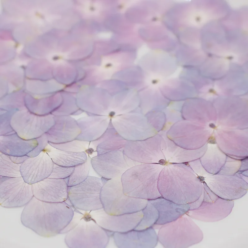 60 120PCS Natuurlijke Roze Paars Hortensia Diy Gedroogde Bloemen Uv Expoxyhars Mold Vullen Bloem Nail Art Pressed Flower Wedding