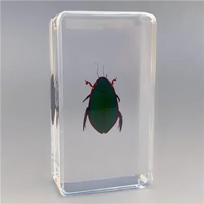 

Прозрачный жук из эпоксидной смолы