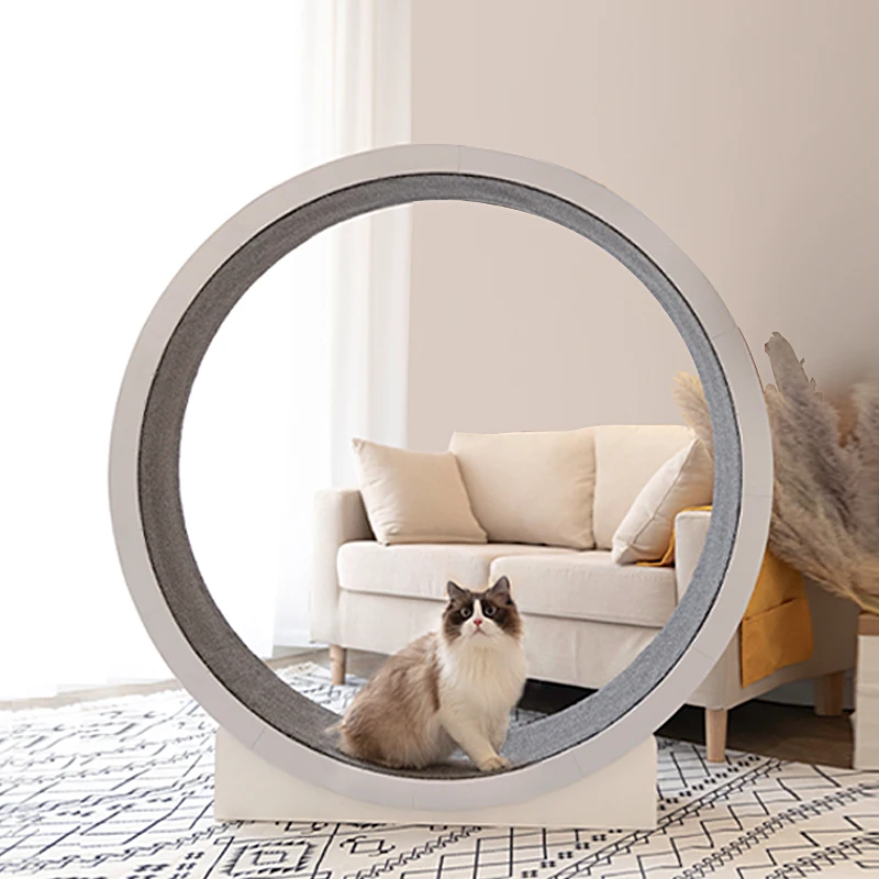 

Cat sports treadmill large roller cat climbing frame cat running wheel cat treadmill cat treadmill
